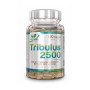 Tribulus 2500 120 tabl. - VitaLab
